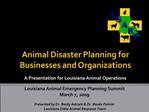 Animal Disaster Planning for Businesses and Organizations