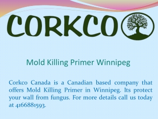 Mold Killing Primer Winnipeg