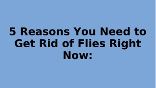 5 Reasons You Need to Get Rid of Flies Right Now: