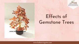 Effects of Gemstone Trees | Benifits of Gemstone Trees