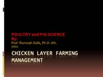 CHICKEN LAYER FARMING MANAGEMENT