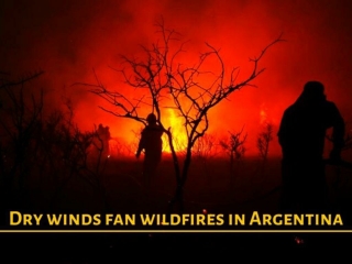 Dry winds fan wildfires in Argentina