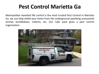 Best Pest Control Marietta Ga