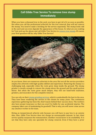 Call Gibbs Tree Service To remove tree stump Immediately