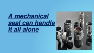 Machanical Seal System