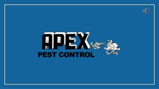 Pest Control Services - APEX Pest Control