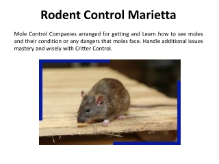 Rodent Control in Marietta