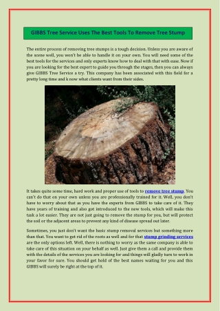 GIBBS Tree Service Uses The Best Tools To Remove Tree Stump