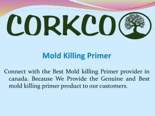 Mold Killing Primer