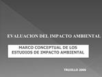 MARCO CONCEPTUAL DE LOS ESTUDIOS DE IMPACTO AMBIENTAL