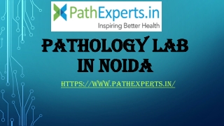 Pathology lab in Noida