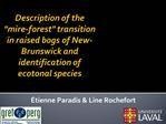 Description of the mire-forest transition in raised bogs of New-Brunswick and identification of ecotonal species