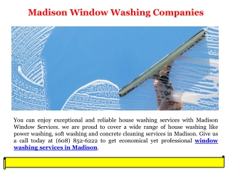 Madison Window Washing Companies