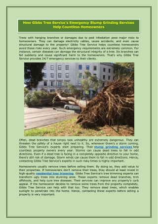 How Gibbs Tree Service’s Emergency Stump Grinding Services Help Countless Homeowners