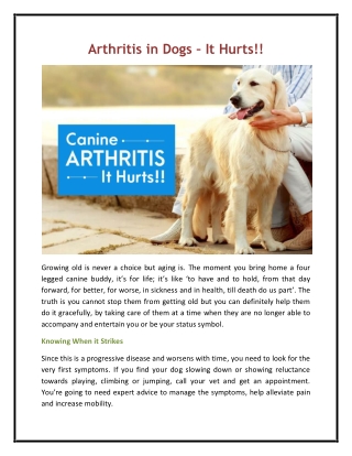 Arthritis in Dogs – It Hurts!!