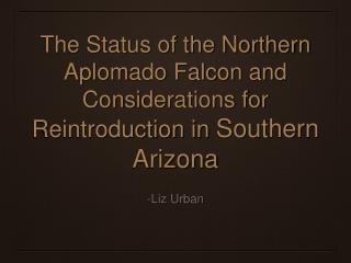 The Status of the Northern Aplomado Falcon and Considerations for Reintroduction in Southern Arizona