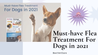 Must-have Flea Treatment For Dogs in 2021