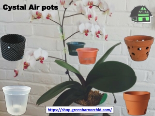 Crystal Air Pots:  Shop.greenbarnorchid.com