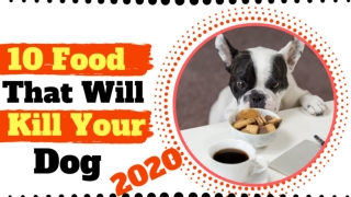 10 Foods Dogs Can't Eat Dangerous Foods That Can Kill Dogs 2020 ! Dog Health Tips