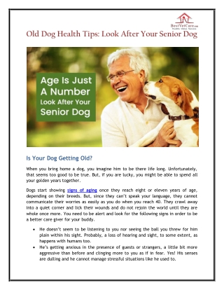 Old Dog Health Tips: Look After Your Senior Dog