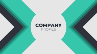 Company Profile AV