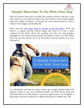 Simple Exercises To Do With Your Dog