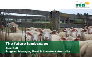 The future lambscape Alex Ball 	Program Manager, Meat &amp; Livestock Australia