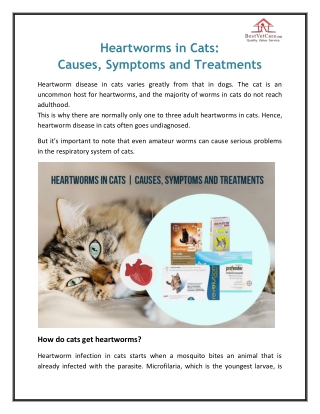 Heartworms in cats: Causes, Symptoms, and Treatments