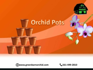 Best Orchid Pots at a great price - Green Barn Orchid Supplies
