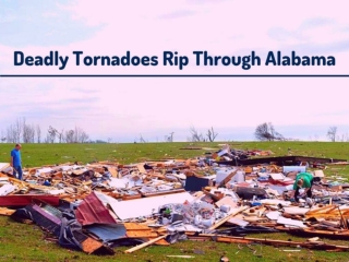 Deadly tornadoes rip through Alabama