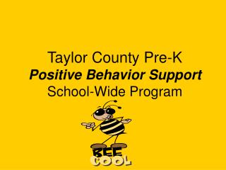 Taylor County Pre-K Positive Behavior Support School-Wide Program