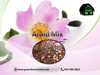 Premium Aroid Mix for Tropical houseplants | Green Barn Orchid Supplies