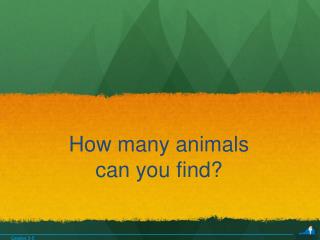 How many animals can you find?