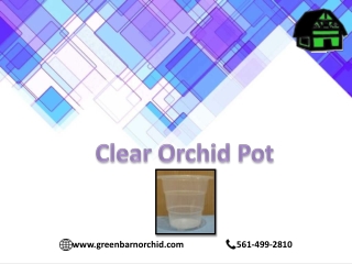 Heavy Duty Clear Orchid Pot for Home and Garden | Green Barn Orchid Supplies