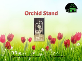 Best Orchid Stand for Orchid - Green Barn Orchid Supplies