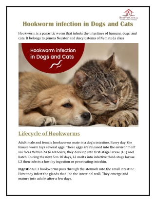 Hookworm infection in Dogs and Cats