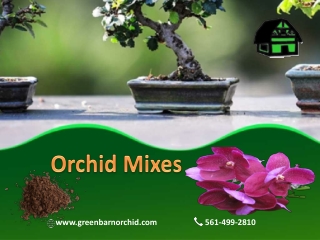 Use the best Orchid Mixes for Vigorous Orchid - Green Barn Orchid Supplies