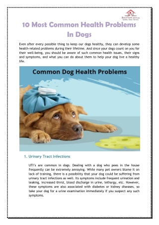 Common Dog Health Problem