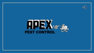 Need Pest Control Services in Sacramento, CA? Call Apex Pest Control Inc.