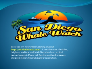 sdwhalewatch.com -- whale watching tours san diego, sunset cruises in san diego