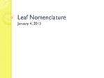 Leaf Nomenclature