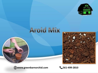 Aroid Mix is the Best Potting Mix for the House Plant | Green Barn Orchid