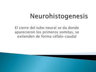 Neurohistogenesis