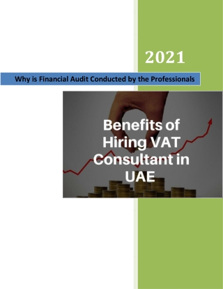 Why is Financial Audit Conducted by the Professionals