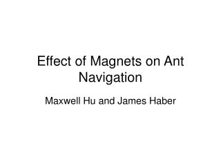 Effect of Magnets on Ant Navigation