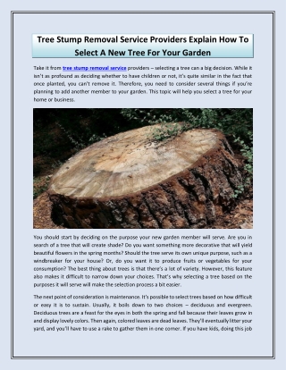 Tree Stump Removal Service Providers Explain How To Select A New Tree For Your G