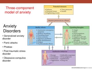 Three-component model of anxiety