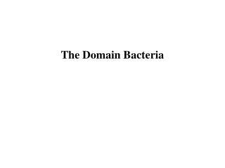The Domain Bacteria