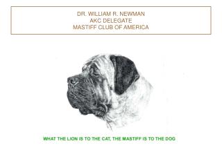 DR. WILLIAM R. NEWMAN AKC DELEGATE MASTIFF CLUB OF AMERICA