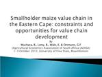 Smallholder maize value chain in the Eastern Cape: constraints and opportunities for value chain development